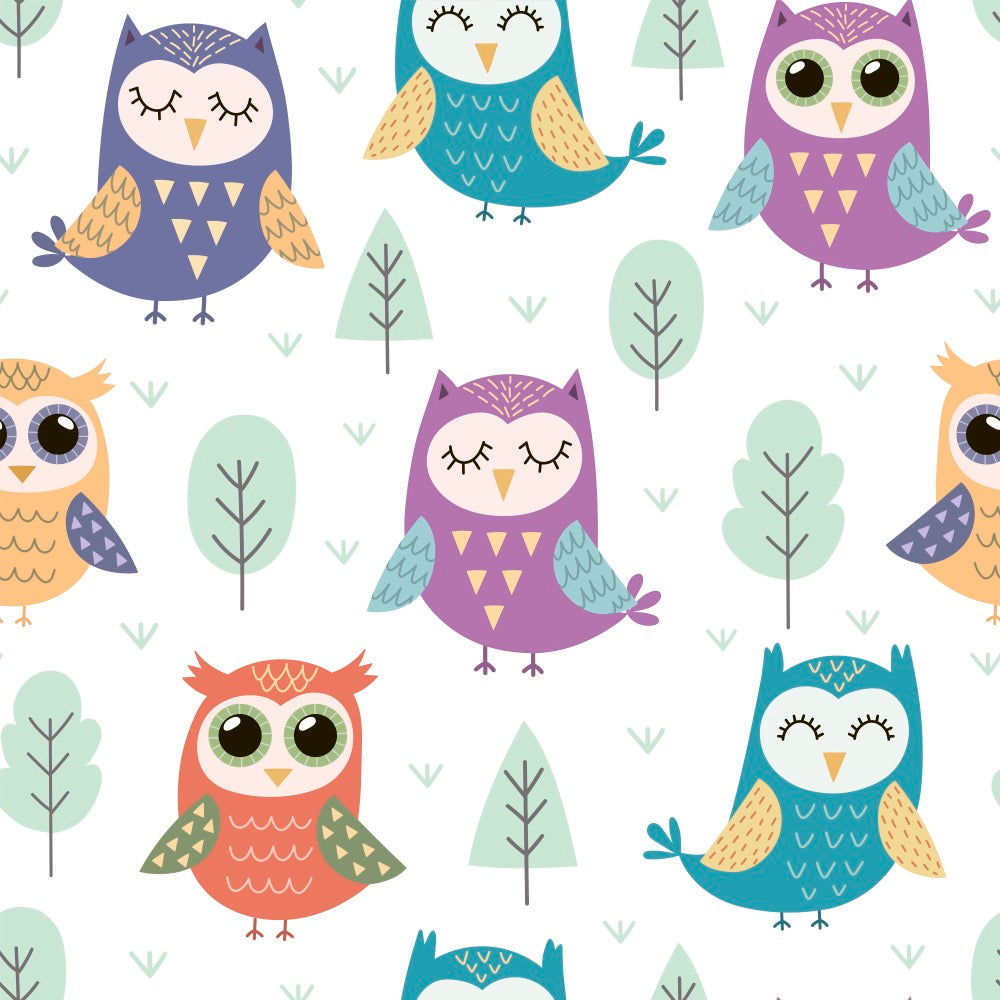 Owls Baby Mittens